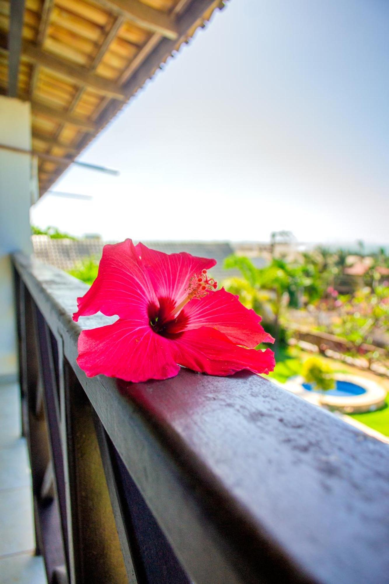 Milano Hotel Pousada Canoa Quebrada Ngoại thất bức ảnh